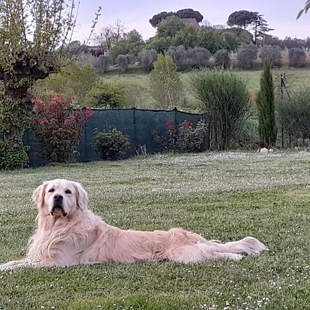 Montepulciano - La Casetta Del Pian Delle Noci Acquaviva  Esterno foto
