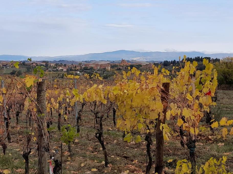 Montepulciano - La Casetta Del Pian Delle Noci Acquaviva  Esterno foto