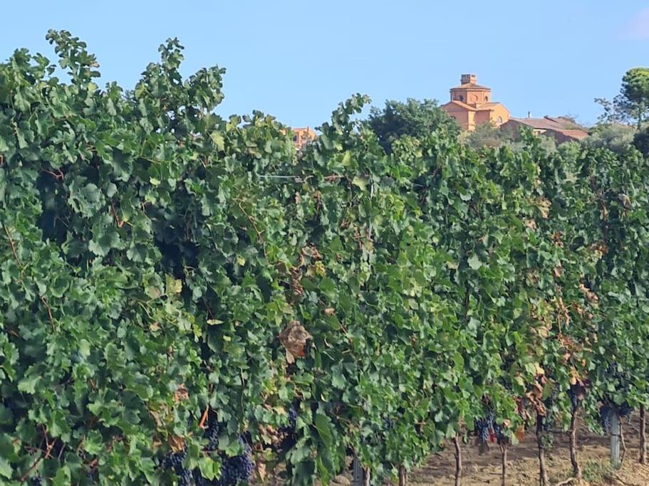 Montepulciano - La Casetta Del Pian Delle Noci Acquaviva  Esterno foto