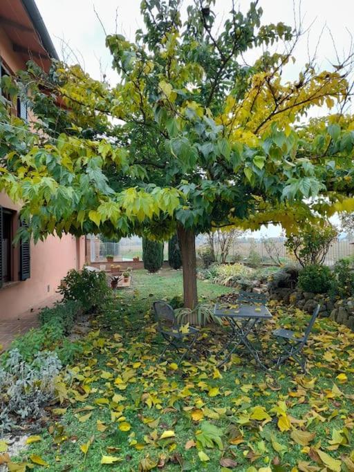 Montepulciano - La Casetta Del Pian Delle Noci Acquaviva  Esterno foto