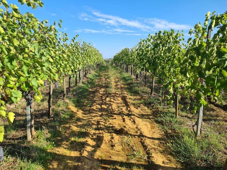 Montepulciano - La Casetta Del Pian Delle Noci Acquaviva  Esterno foto