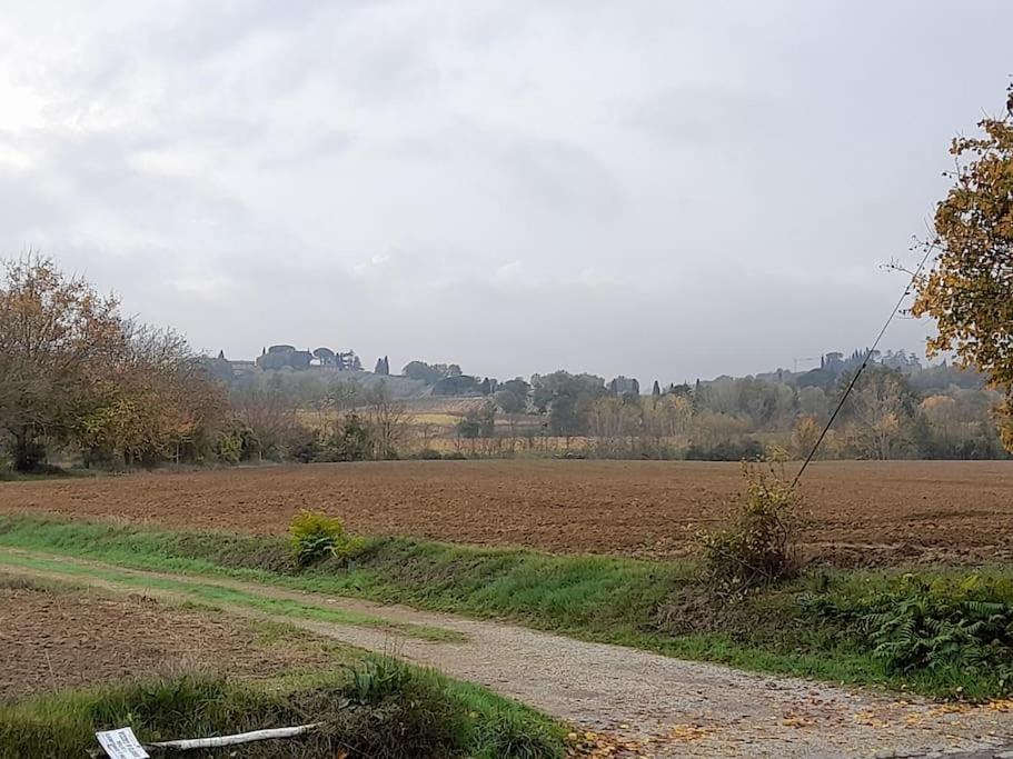 Montepulciano - La Casetta Del Pian Delle Noci Acquaviva  Esterno foto