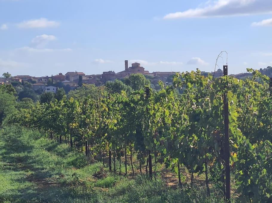 Montepulciano - La Casetta Del Pian Delle Noci Acquaviva  Esterno foto