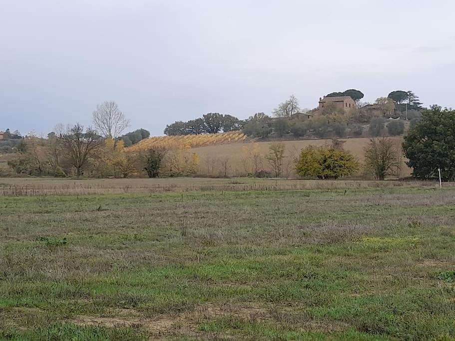 Montepulciano - La Casetta Del Pian Delle Noci Acquaviva  Esterno foto
