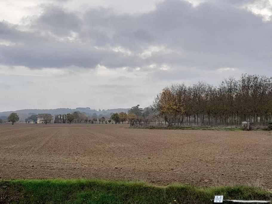 Montepulciano - La Casetta Del Pian Delle Noci Acquaviva  Esterno foto