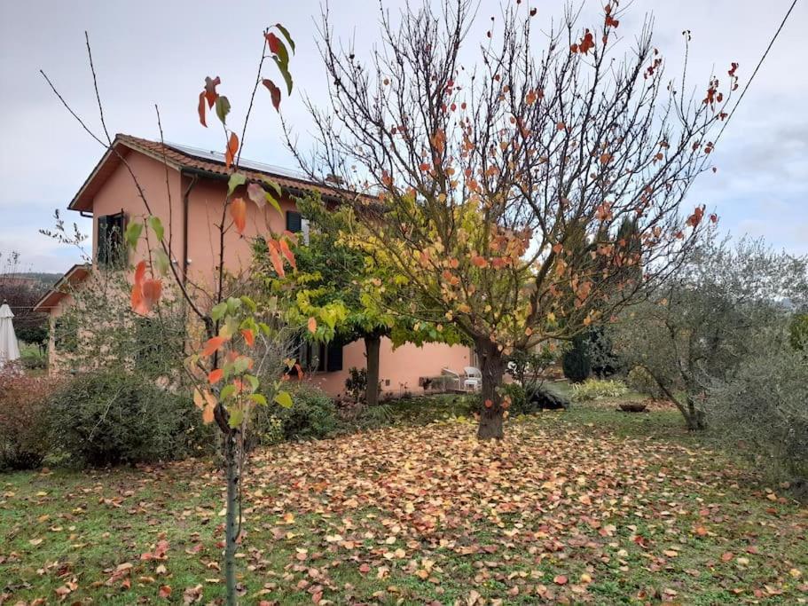 Montepulciano - La Casetta Del Pian Delle Noci Acquaviva  Esterno foto