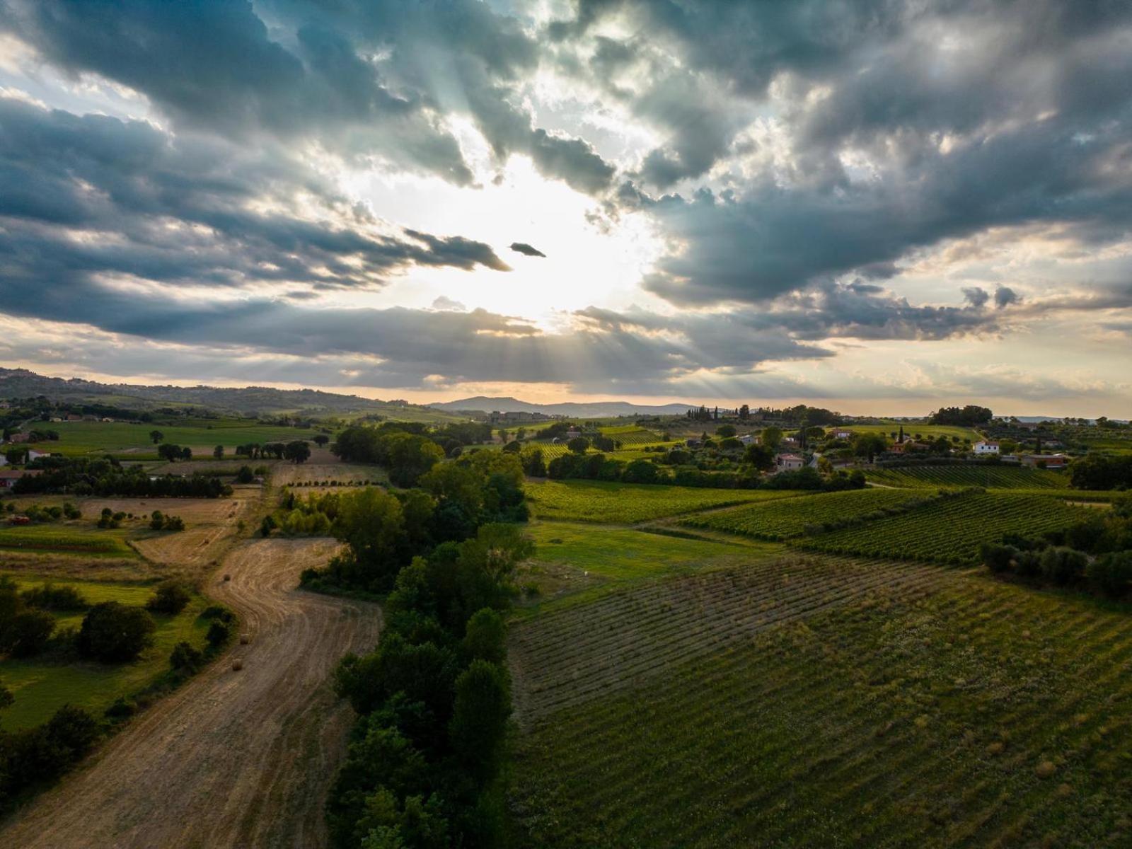 Montepulciano - La Casetta Del Pian Delle Noci Acquaviva  Esterno foto
