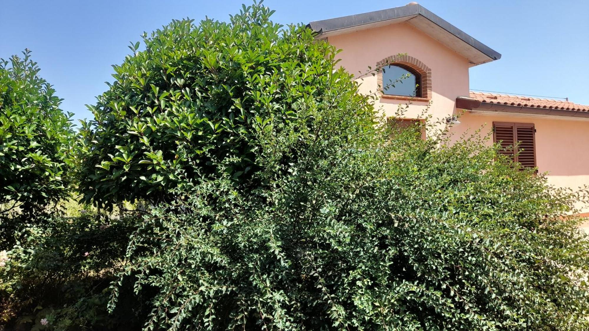 Montepulciano - La Casetta Del Pian Delle Noci Acquaviva  Esterno foto