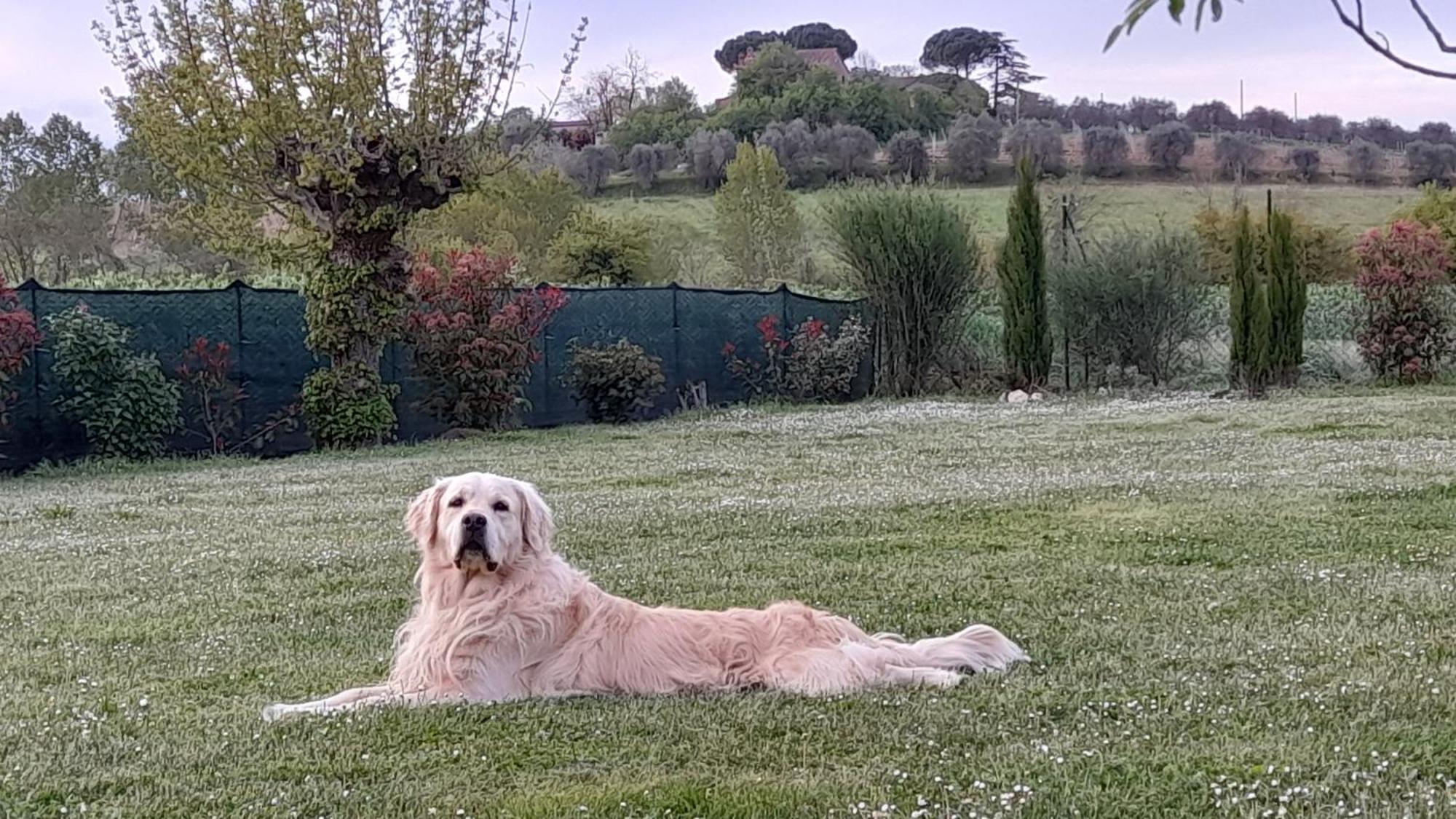 Montepulciano - La Casetta Del Pian Delle Noci Acquaviva  Esterno foto