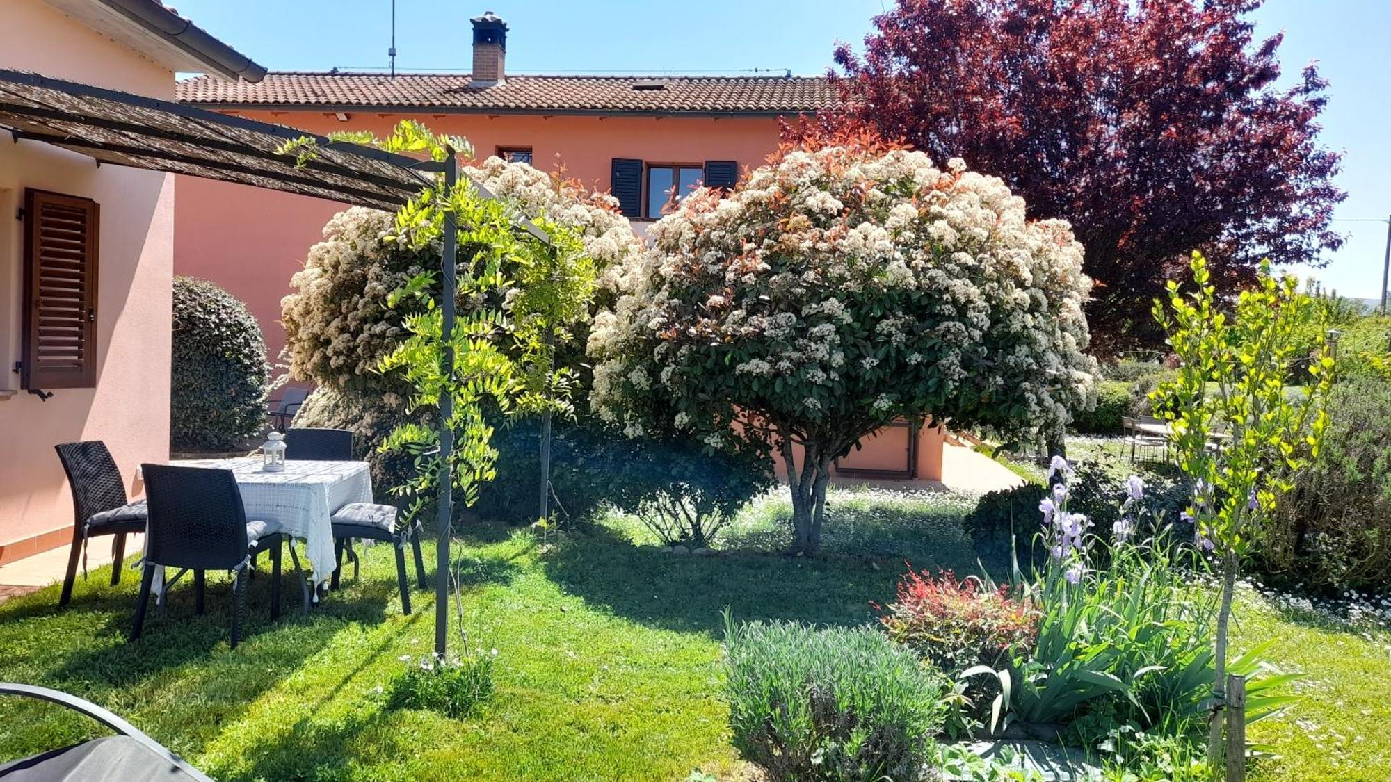 Montepulciano - La Casetta Del Pian Delle Noci Acquaviva  Esterno foto